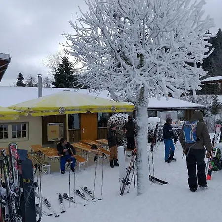 Der Engel * Winterberg