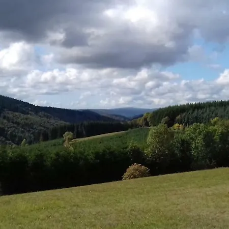 Der Engel * Winterberg